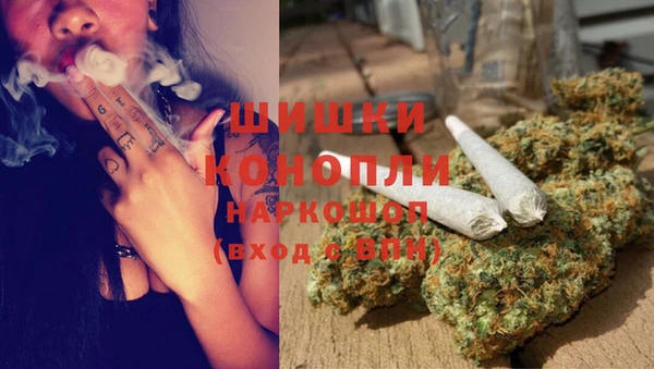 каннабис Белокуриха